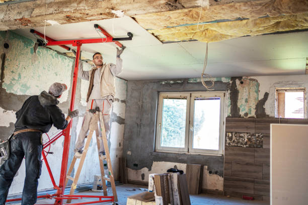 Best Types of Insulation in Olney, IL